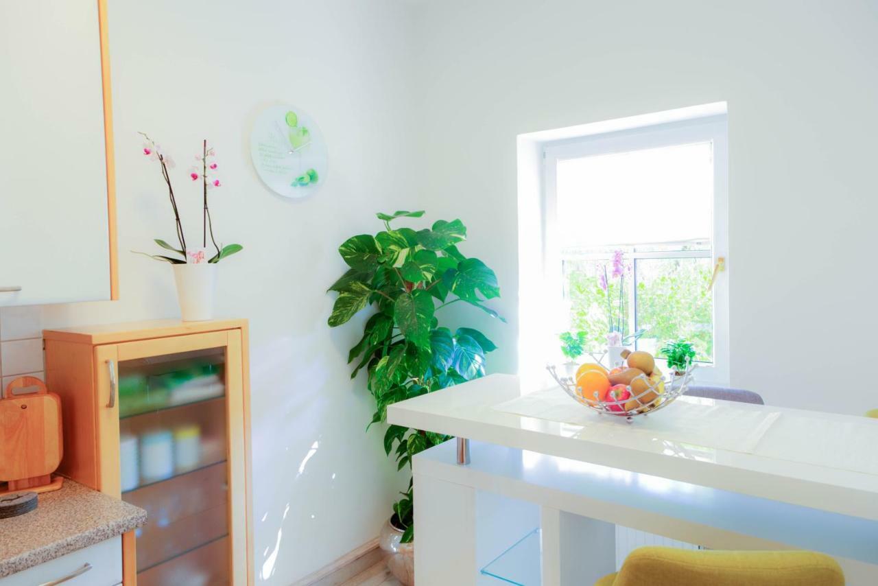 Apartmán Maxglan Solnohrad